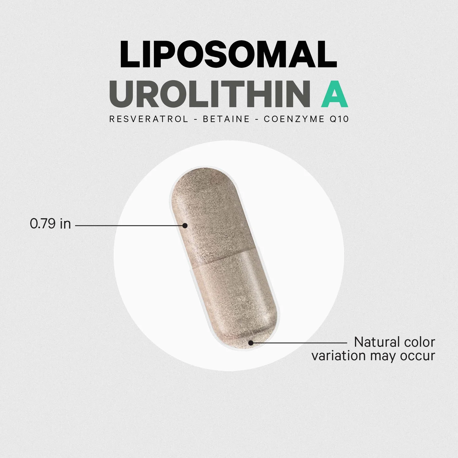 Liposomal Urolithin A - Image 4