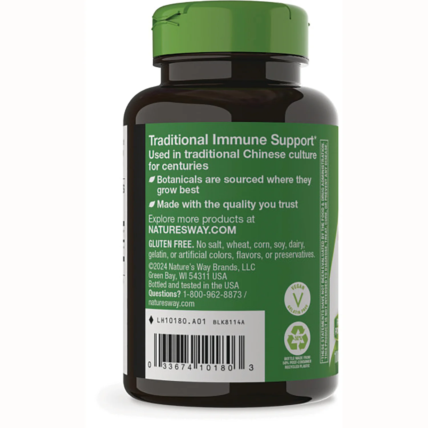 Astragalus Root - Image 3