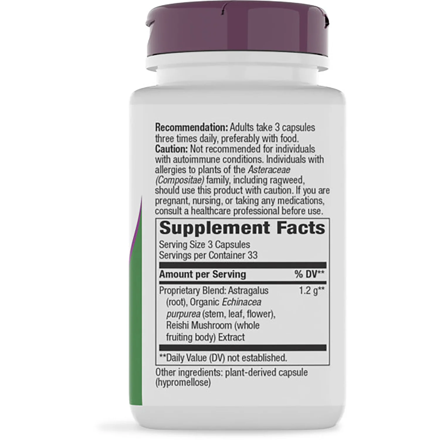 Echinacea Astragalus & Reishi - Image 2