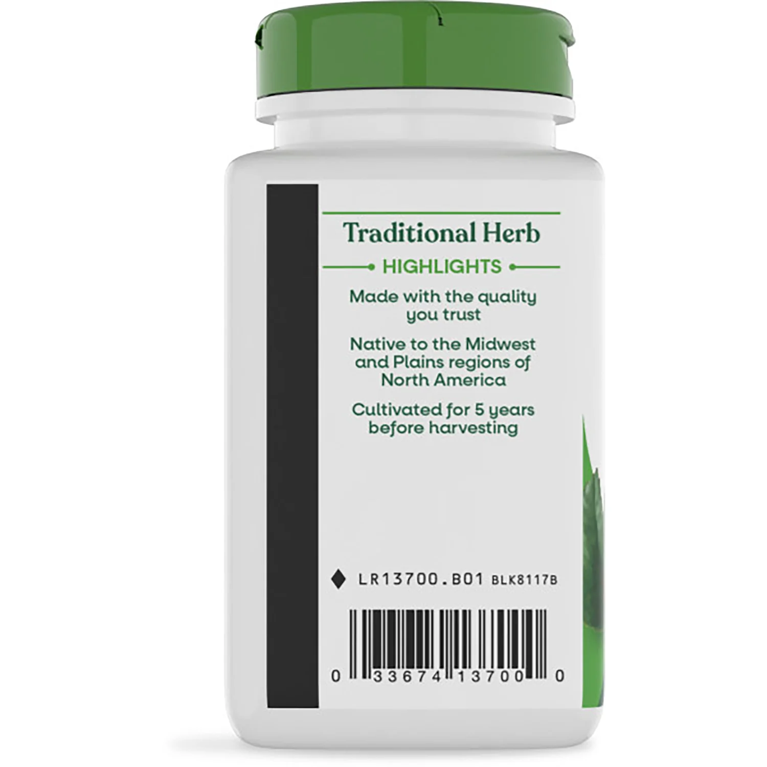Goldenseal Herb - Image 4