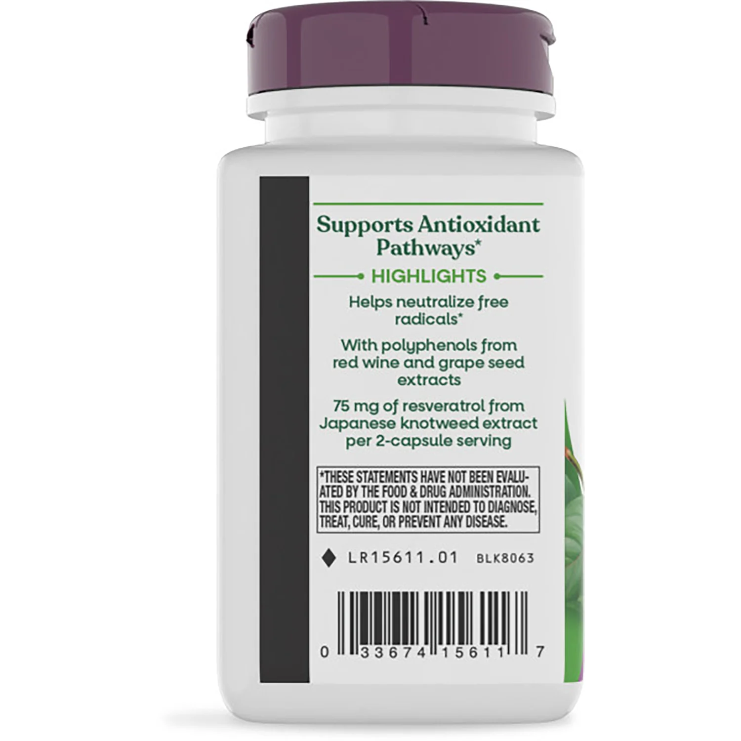 Resveratrol - Image 4