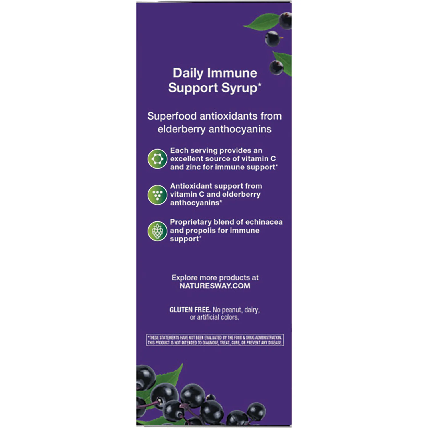 Sambucus Immune Elderberry Syrup - Image 3