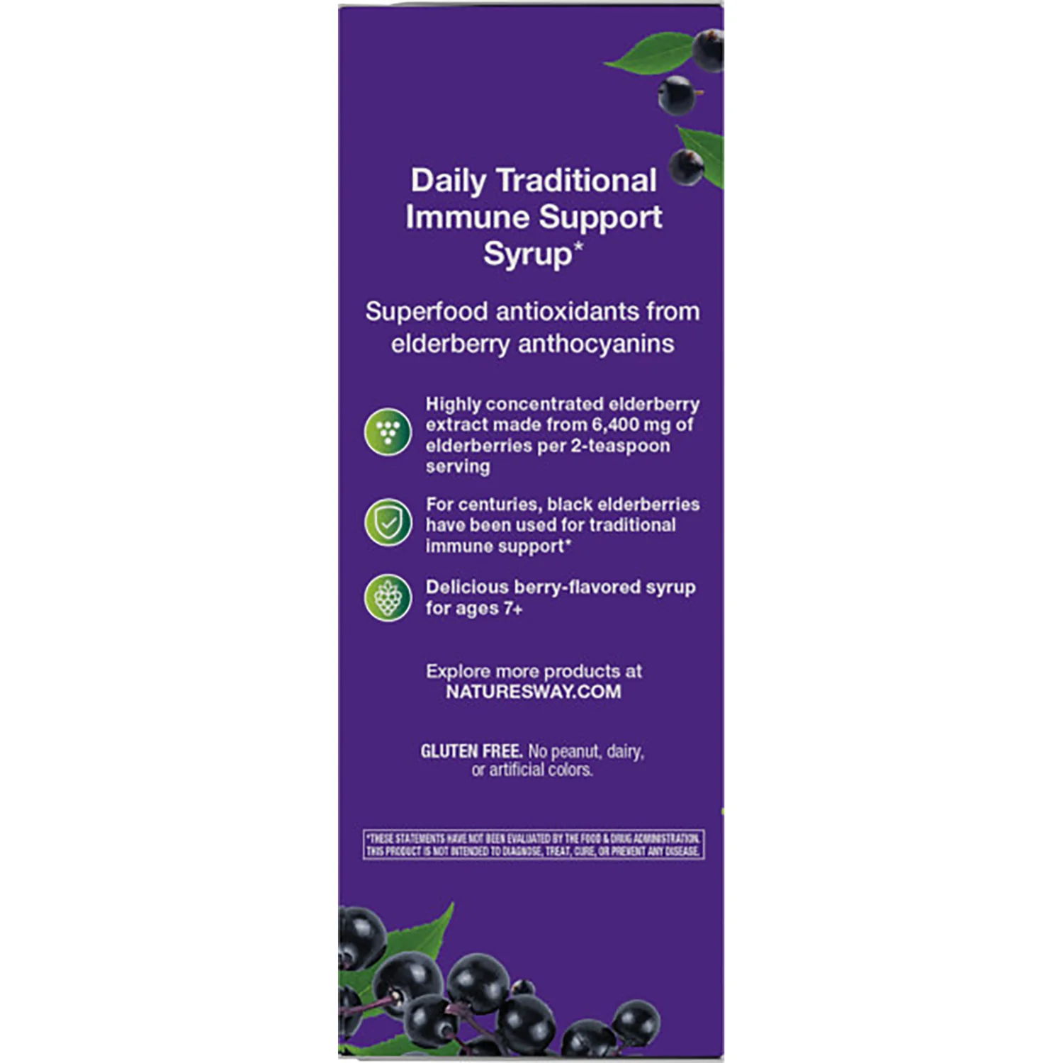 Sambucus Traditional Elderberry Immune Syrup - Image 3