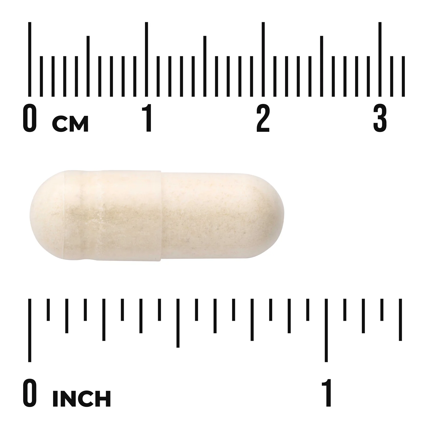 Full Spectrum Onion Bulb - Image 3