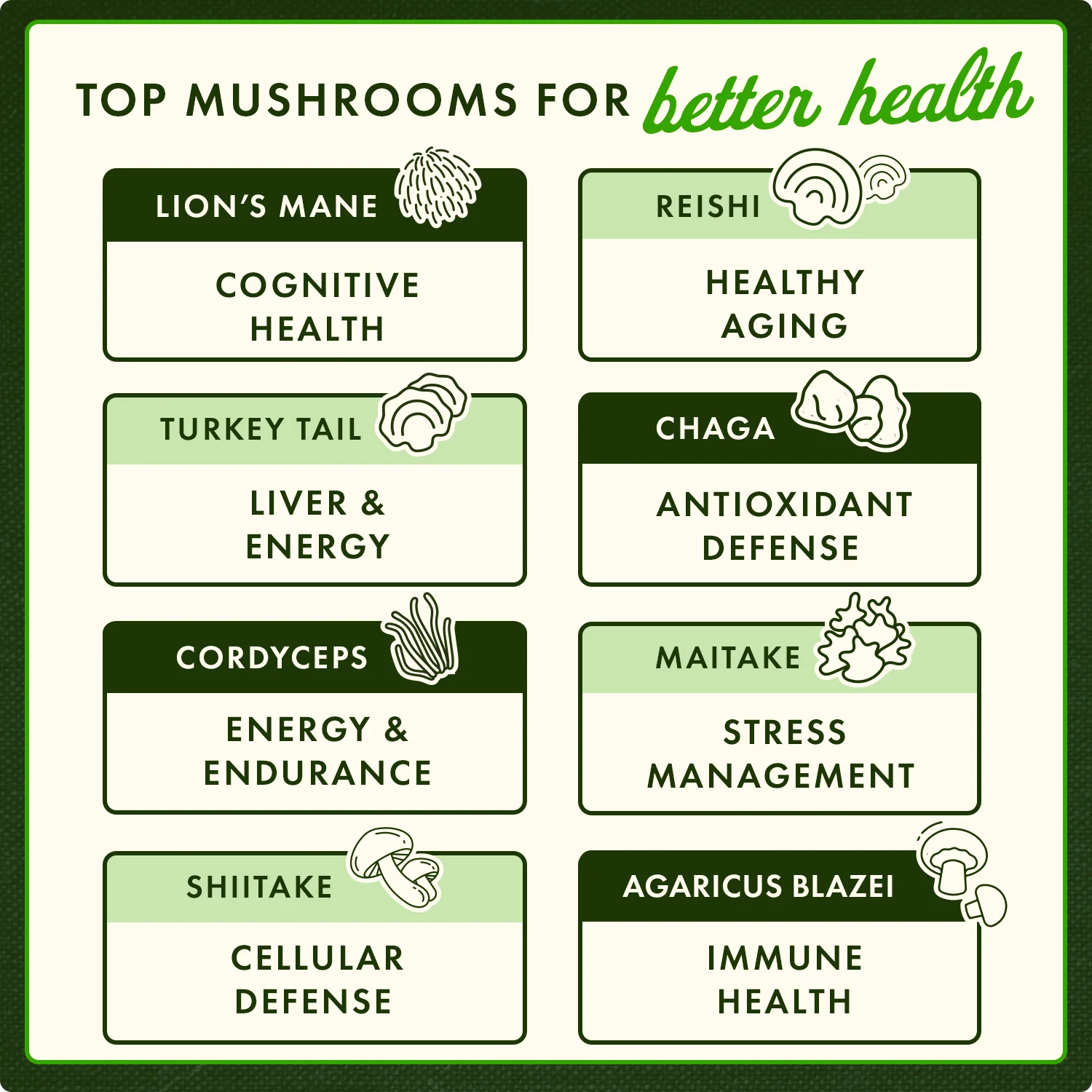 Agaricus Blazei Mushroom Extract - Image 4